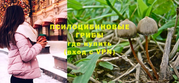 гашик Вязники