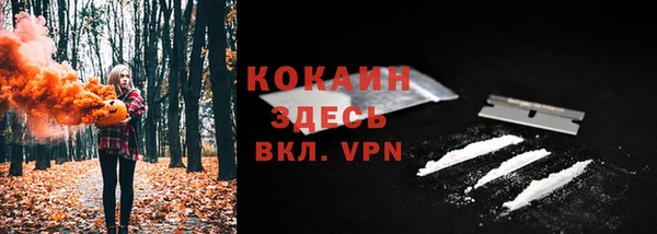 дживик Горнозаводск